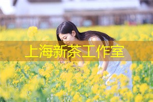 世界桥牌比赛视频