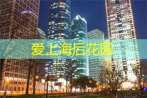 你将与来自世界各地的音乐迷们相遇